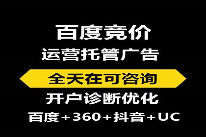 提升转化率：SEM竞价专员的案例研究
